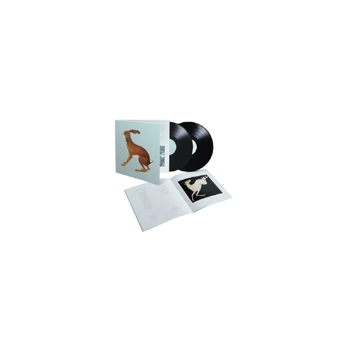 Pias Vashti Bunyan - Lookaftering (Expanded Edition) - 2xLP